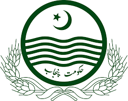 Program Management Unit Jobs 2025 – Senior Engineering, Admin & IT Vacancies Across Punjab