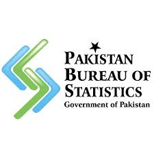 Punjab Bureau of Statistics Jobs 2025 – Apply Online for 982 Tehsil Monitor Vacancies