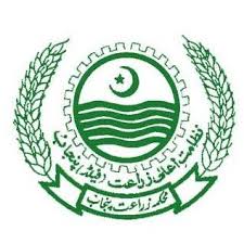 Agriculture Department Punjab Jobs 2025 